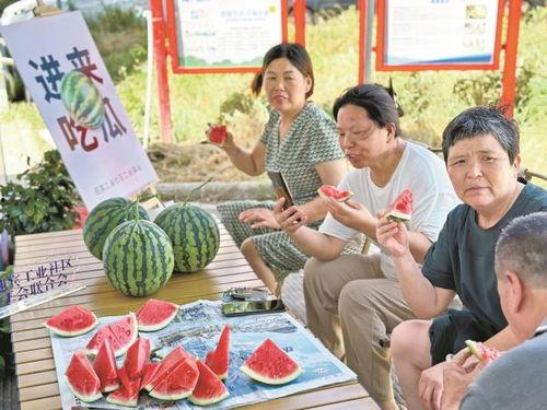 北仑吃瓜,瓜果飘香，品味生活新篇章  第2张